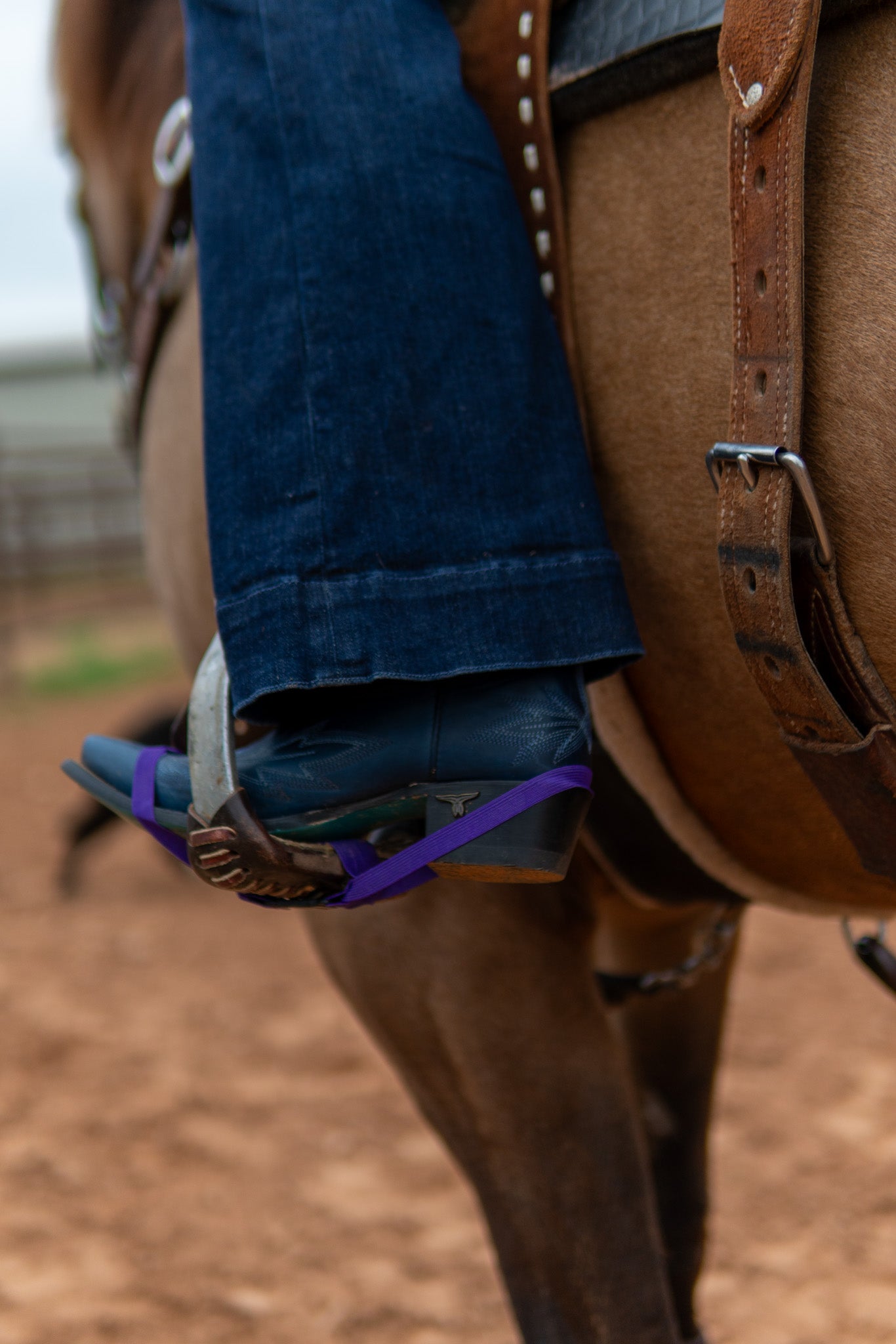 One pair of Purple Better Bands